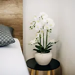 Wanda * 두브로브니크